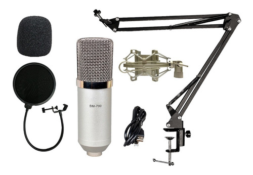 Microfono Condenser Kit Estudio Profesional Streamer Plug
