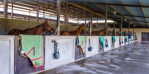 Imagen 6 de 30 de Oportunidad Lotes En Technopolo Country Club - Listos Para Construir!!!