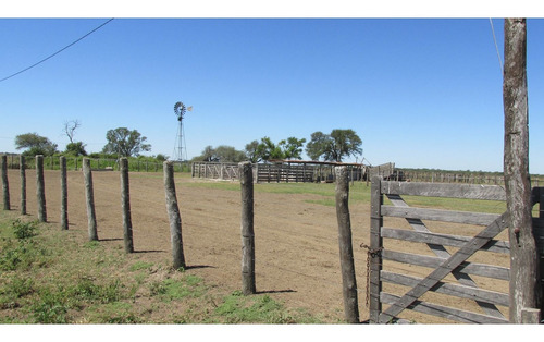 Imagen 17 de 30 de Campo Ganadero 3220 Ha - ( 420 Agrícolas ) Reconquista - Prov. De Santa Fe