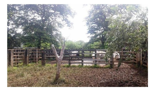 Imagen 21 de 23 de Vendo Hacienda De 990 Hectáreas En Puerto Gaitán En El Meta