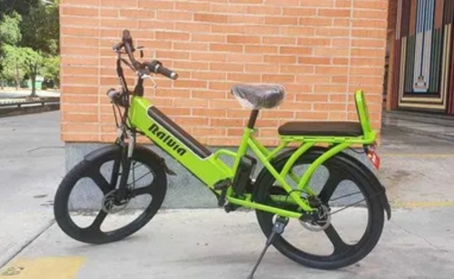 Imagen 1 de 1 de Bicicleta Electrica Ralvia Rb Rin 24 Verde