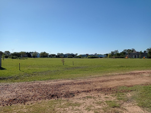 Imagen 2 de 13 de Terreno - Gualeguaychu