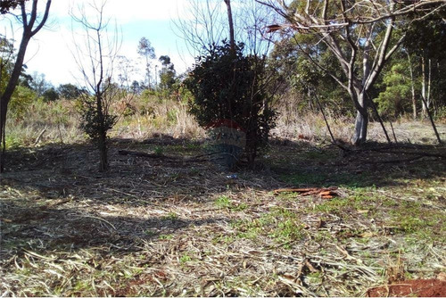 Vendo Terreno En Calle D, Capitán Miranda: 7482 M2