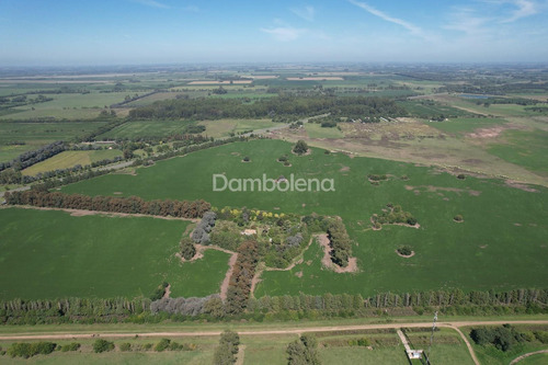 Imagen 5 de 16 de Campo En Venta - Cortines, Luján, G.b.a. Zona Oeste
