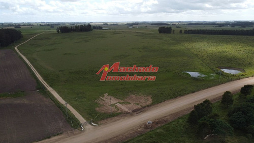 Imagen 4 de 29 de Chacra En Venta