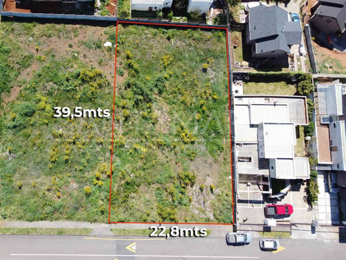 Sitio En Venta En Concepción