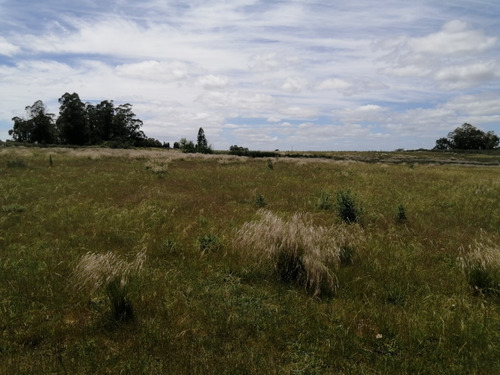 Imagen 13 de 14 de Campo A La Venta - Ruta 65 Km 90 - 11 Has . Índice Coneat 156, Ute Y Ose A 350 Mts.