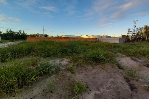 Imagem 7 de 14 de Terreno - 1547t - 69232909