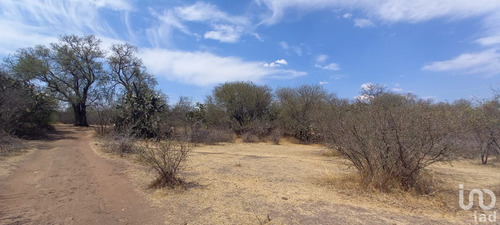 Venta Terreno 0 Ambiente La Esperanza