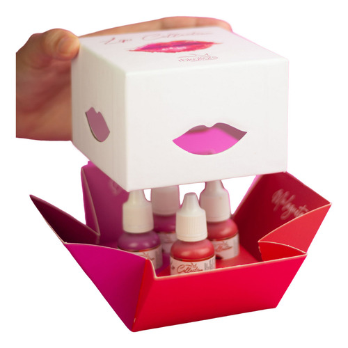 Kit Lips Collection com 4 Pigmentos Cores Premium 10ml RBKollors Micropigmentação