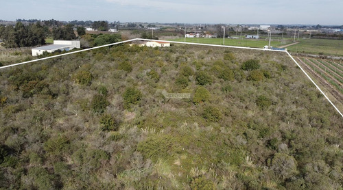 Venta Terreno Melilla Camino Fauquet Y Ruta 5 (37001m Con Casa+apto+galpon)