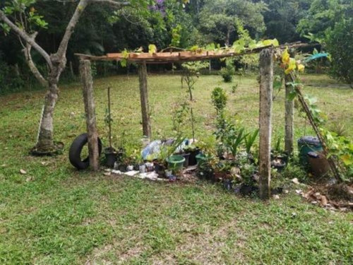 Imagem 5 de 14 de Chácara Com Lago,árvores Frutíferas. São Fernando-itanhaém