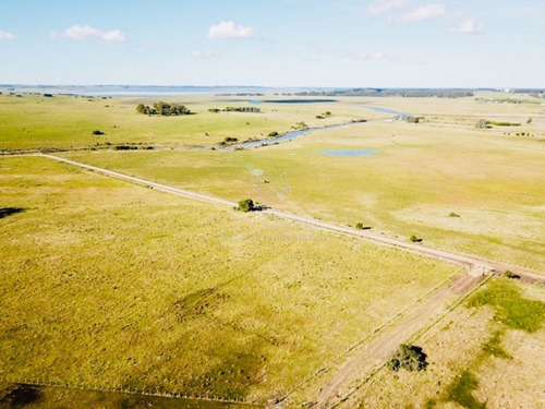 Imagen 13 de 13 de Campo De 20 Has Muy Cerca Del Faro Jose Ignacio - Consulte !!!!!! - Jose Ignacio