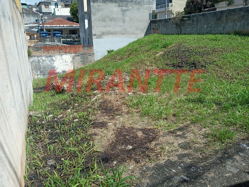Imagem 2 de 4 de Terreno Em Jardim Peri - São Paulo, Sp - 352568
