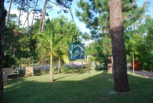 Casa En Alquiler, Pinares, Punta Del Este- Ref: 938