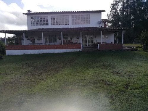 Imagen 3 de 14 de Finca En San Vicente 10 Mil Mts 1.000 Mill Antes Del Pueblo