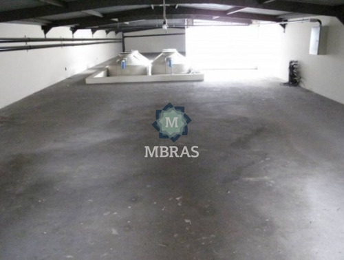Imagem 6 de 12 de Oportunidade De Loja Comercial | Oscar Freire - Mb9674