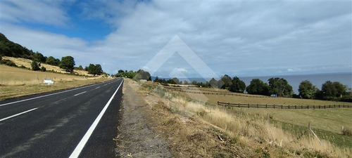 Sitio - 5.000 M2 Cada Uno - Cascadas - Puerto Octay