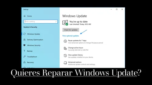 Asistencia Remota Optimización De Pc, Videojuegos Y Software