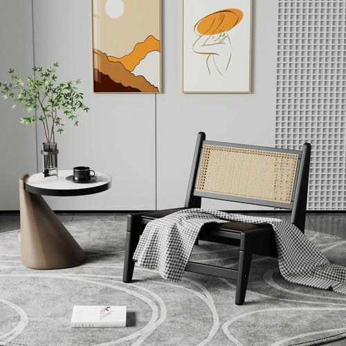 Silla De Ratán Moderna Sin Brazos Para Sala Y Dormitorio