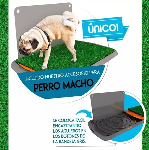 Bandeja Sanitaria C/ Accesorio Machos Baño Para Mascotas Perros Cachorros Bulldog Frances Bulldog Ingles Pitbull 40% Off