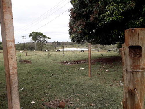 Chácara A Venda 7 Hectares Com Sobrado À 6km De Dourados