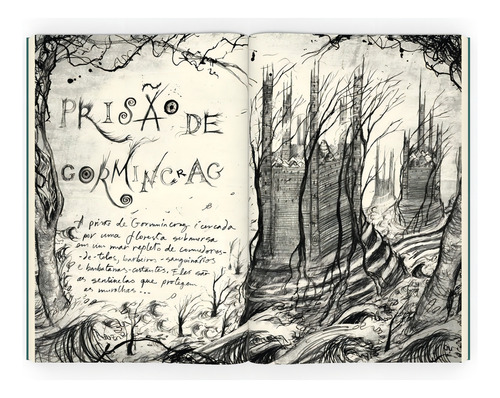 Duas Vezes Magia: Série tempo dos feiticeiros - Vol. 2, de Cowell, Cressida. No tempo dos feiticeiros (2), vol. 2. Editorial Editora Intrínseca Ltda.,Little, Brown Books for Young Readers, capa mole em português, 2021
