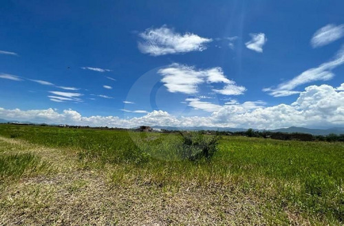 Terreno En Venta En Pinar De La Laguna 27 Atotonilco El Bajo Villa Corona
