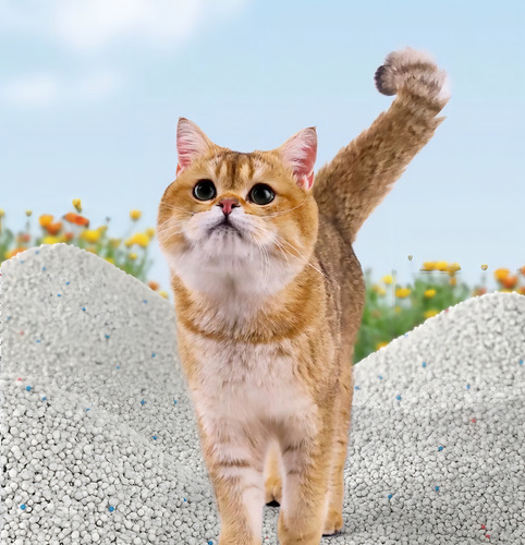 Arena Gato Sanitaria Aglutinante Aroma Premium 2kg