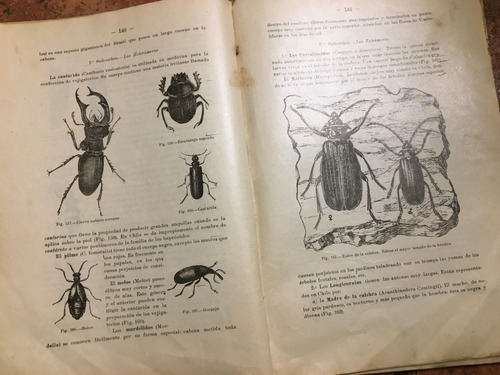 Libro Antiguo Elementos De Zoología, P. Félix Jaffuel (1921) (Usado)