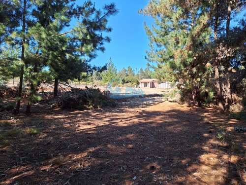 Se Vende Propiedad Parcela Con Casa, Cardonal De Panilonco