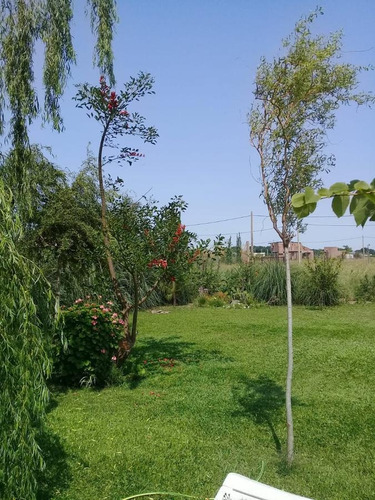 Imagen 11 de 11 de Casa -oportunidad Funes Town