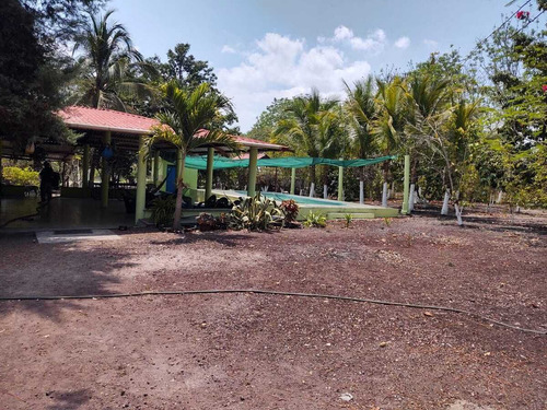 Terreno En Venta En Veracruz Con Casa De Descanso Loc. Palo Gacho.