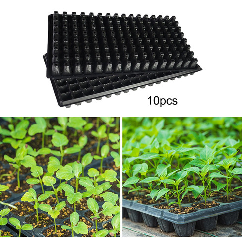 10x Bandejas De Inicio De Plántulas Bandejas De 80g