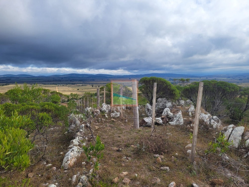 Imagen 13 de 30 de 79 Hás Campo Criador Y Serrano En Corte De La Leña