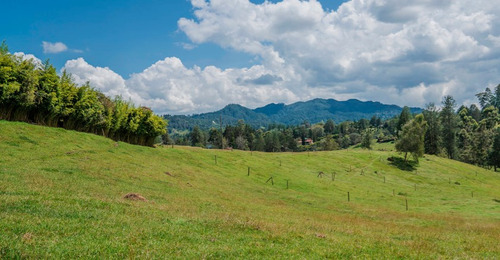 Venta De Lote Campestre En El Retiro, Sector Fizebad