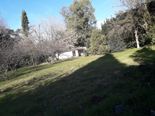 Imagen 7 de 19 de Casa - La Reja