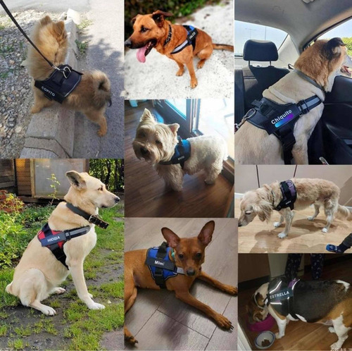Imagen 5 de 6 de Pecheras Ajustables Para Perros Y Gatos Reflectivos 3m