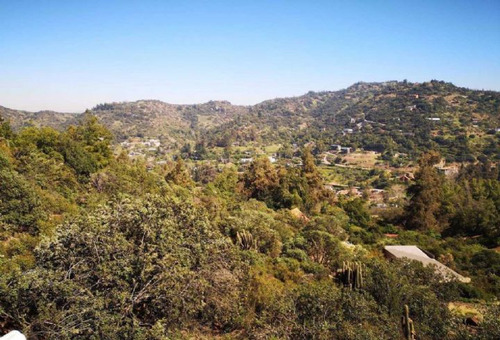 Pastor Fernandez / El Cajon