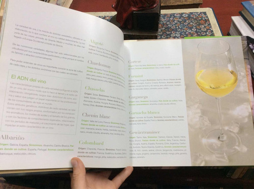 Imagen 4 de 5 de Cita Con El Vino Blanco - Cata - Bodega - Enología