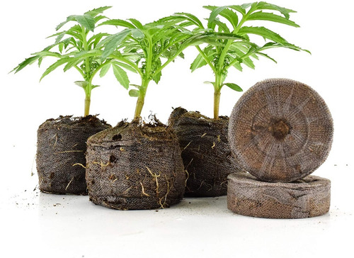Imagen 7 de 10 de Jiffy Turba Prensada Pack X5 Germinacion Cogoshop Grow