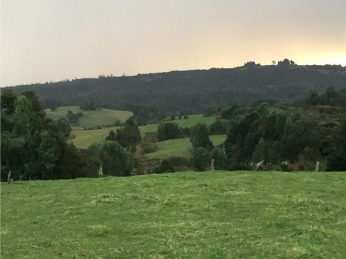 Se Vende Campo Con Casa Rustica Y Cabañas En Sector Coquiao