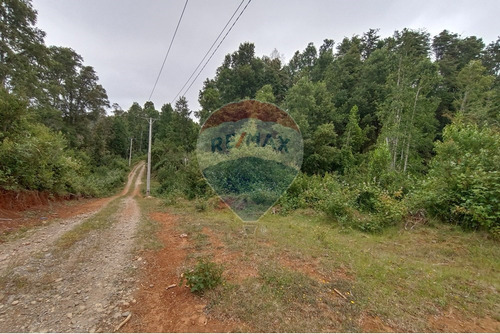 Gran Terreno 5.5 Ha Cercano Al Pueblo De Mafil