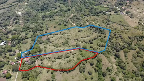 Se Vende Finca De 10 Plazas Ubicada En Zarzal, Valle (6,4 Hectáreas) Con Excelentes Pastos Y Lago Grande. Negociables