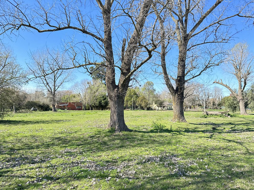 Venta Terreno En Lobos, Lotes De Casi 1ha