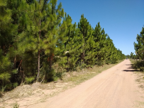 Imagen 2 de 10 de Solares - En Venta - Barrio Pinares - Punta Del Diablo - Mza 124