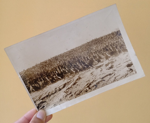 Peru Foto Islas Guaneras , Industria Guanera , 1957