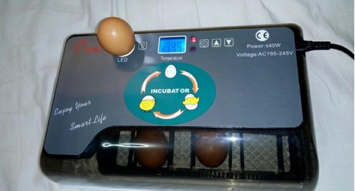 Incubadora 12 Huevos