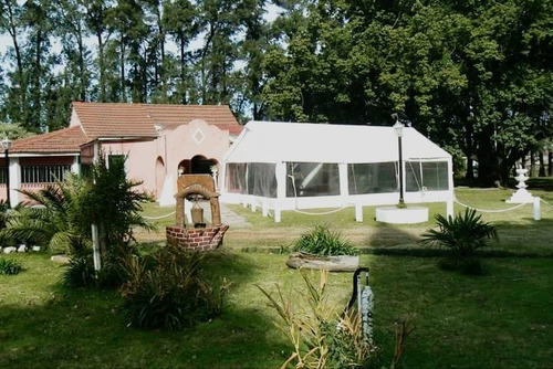 Imagen 8 de 10 de Alquiler Carpas Beduinas Elasticas Y Estructurales Calefacc