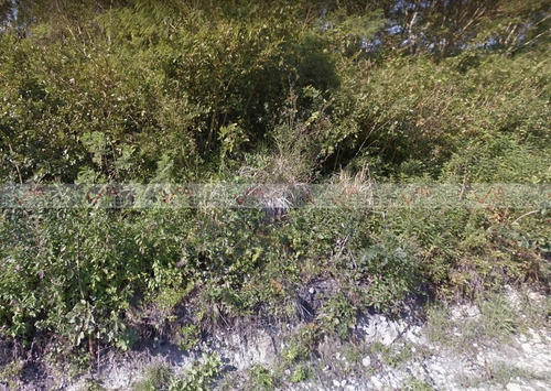 Venta Terreno Para Desarrollar Predio En Poza Rica, Veracruz En Poza Rica De Hid